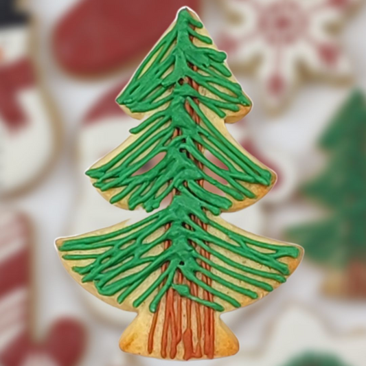 Le sapin de la forêt